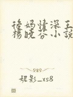 后妈情深王磊与杨晓芬小说