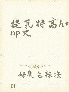 提瓦特高h啪肉np文