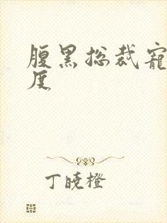 腹黑总裁宠妻无度