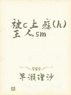 被c上瘾(h)主人sm封面