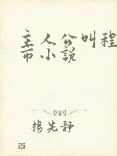 主人公叫程浩都市小说