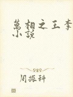 万相之王李洛的小说