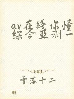 av在线你懂的综合亚洲一区