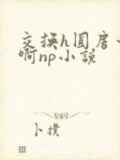 交换h圆房～嗯啊np小说