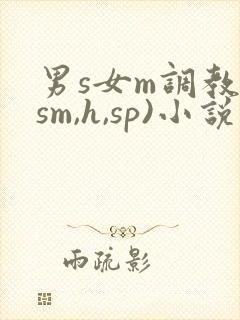 男s女m调教(sm,h,sp)小说