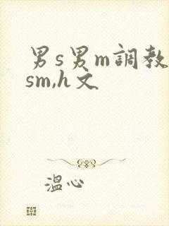 男s男m调教(sm,h文