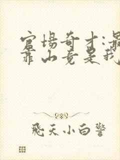 官场奇才:最强靠山竟是我自己李澜全本阅