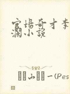 官场奇才李霖李澜小说