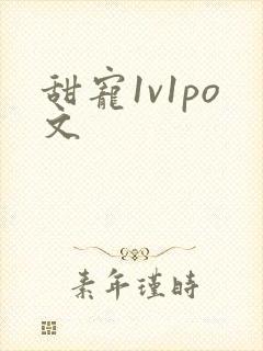 甜宠1v1po文