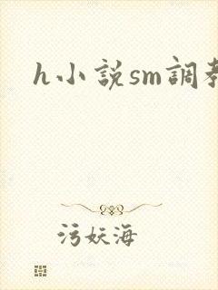 h小说sm调教