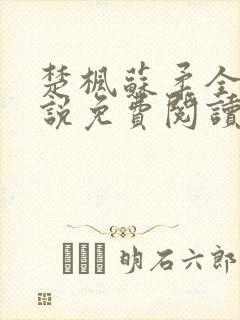 楚枫苏柔全本小说免费阅读封面