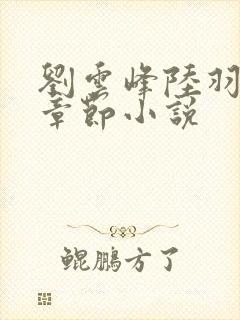 刘云峰陆羽最新章节小说