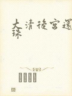 大清后宫还君明珠封面