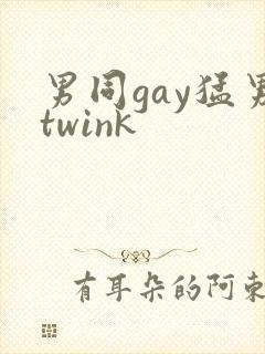 男同gay猛男twink