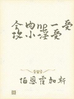 全肉np一受多攻小淫受