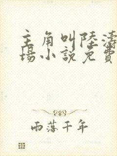 主角叫陆涛的官场小说免费阅读