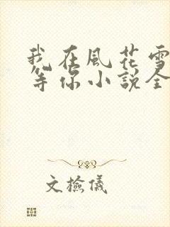 我在风花雪月里等你小说全文阅读