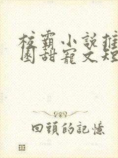 校霸小说推荐校园甜宠文短篇