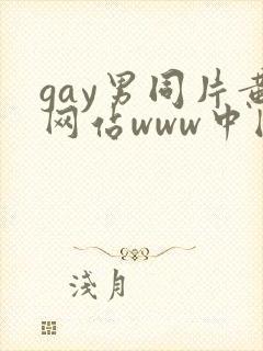 gay男同片黄网站www中国