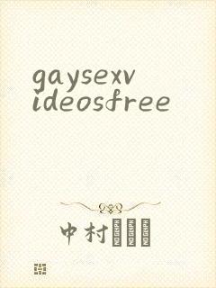 gaysexvideosfree封面