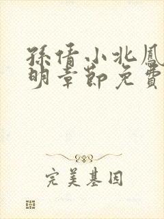 孙倩小北凤芝家明章节免费阅读封面