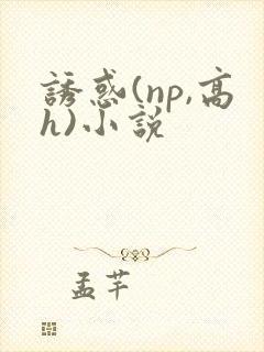 诱惑(np,高h)小说