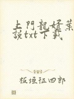 上门龙婿叶辰小说txt下载
