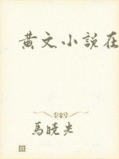 黄文小说在线封面