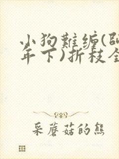 小狗难缠(师生年下)折枝全文免费阅读