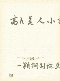 高h美人小说封面
