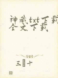 神藏txt下载全文下载