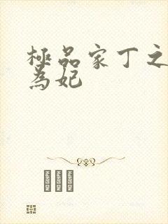 极品家丁之册母为妃