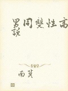 男同双性高h小说