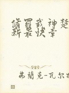 修罗武神楚枫最新最快章