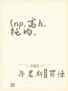 (np,高h,纯肉,