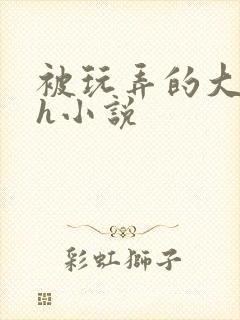 被玩弄的大小姐h小说封面