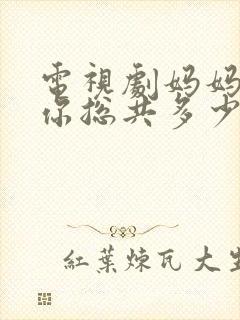 电视剧妈妈在等你总共多少集