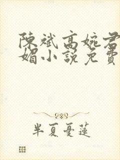 陈斌高婉君赵心媚小说免费阅读