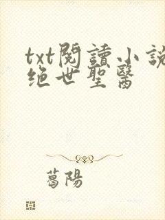 txt阅读小说绝世圣医
