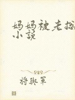 妈妈被老总调教小说封面