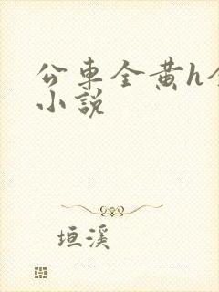 公车全黄h全肉小说