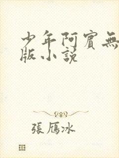 少年阿宾无删减版小说