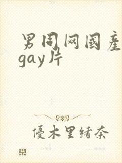 男同网国产原创gay片