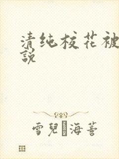 清纯校花被艹小说