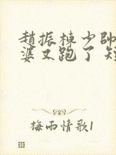 赵振栋少帅你老婆又跑了 短剧免费观看封面