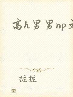 高h男男np文