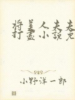 将美人夫夫一网打尽小说免费阅读