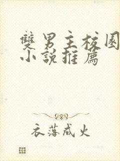 双男主校园甜宠小说推荐封面