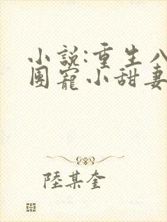 小说:重生八零团宠小甜妻