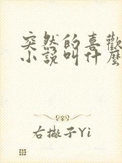 突然的喜欢原著小说叫什么封面